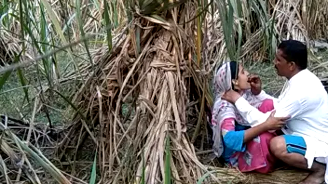 Viral Village Jungle Sex - Ormanda Desi yerel sıcak seks 🔥