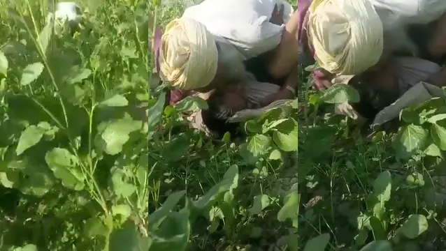 Farmer Fucks Labour Wife in Field - Hot Desi Outdoor Village Sex