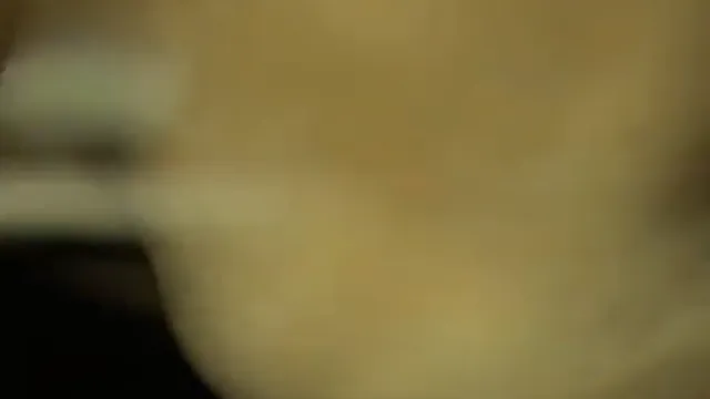 Punjabi Kudi succhia il cazzo e poi cavalca - Scopata di pompini indiani selvaggi in POV