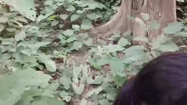 Watch Desi Bhabhi Jungle Sex - Wild Randi Outdoor Chudayi Video full viral video leaked