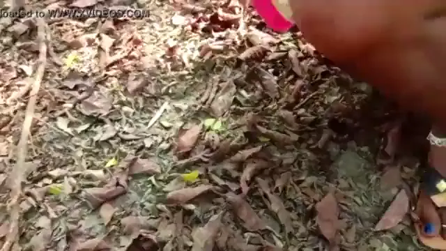 Viral Tamil Jungle Sex - জঙ্গলে তামিল দেশী কাপলের হট সেক্স 🔥