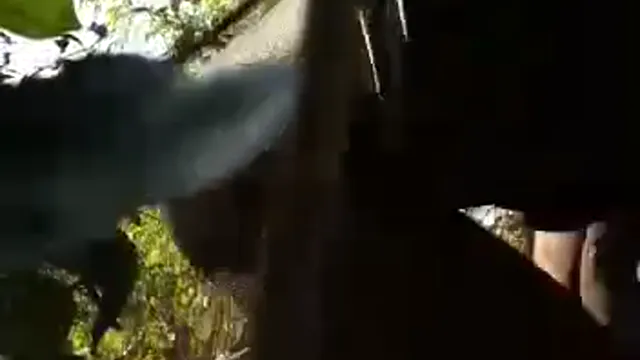 Desi Randi Outdoor Gangbang Viral - Local Guys Public Masti Leaked