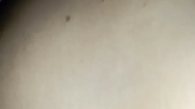 Desi Bhabhi Porn Video Leak - Bhabhi Hot XXX Clip with BF 🔥
