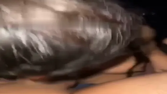 Desi Pareja Sexo Salvaje En La Habitación - Misionero A Estilo Perrito Follando Duro