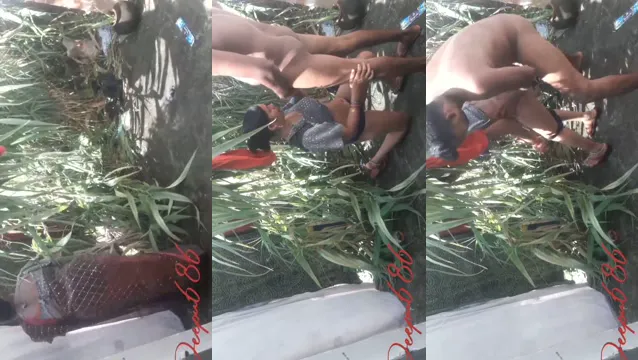 Desi Bhabhi Blowjob - Video Bocor Luar Ruangan Publik yang Gila