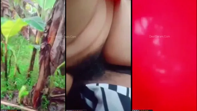 Desi College Coed soborna al vigilante del campus con un paseo salvaje en una polla - Video filtrado