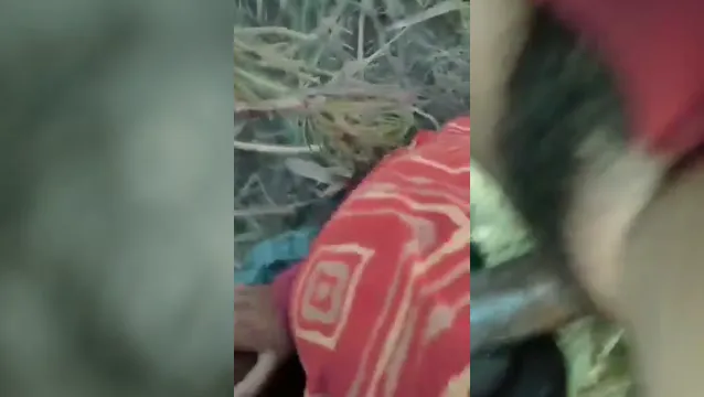 Pakistan Ormanda Seks Sıkı Am Desi BF 🔥