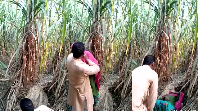 Jungle XXX Video - জঙ্গলে মুসলিম আঙ্কেলের সাথে যুবতীর চোদন