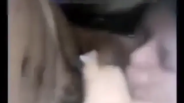 Desi GF BF Sex Video Clear Voice - দেশি প্রেমিক প্রেমিকার চুদাচুদি! 
