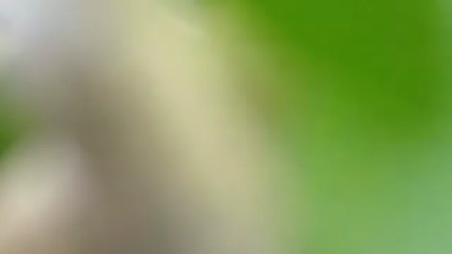 Next Video