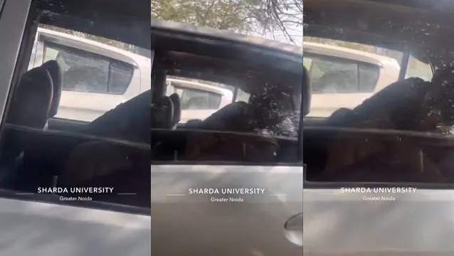 Desi University Girl Outdoor Car Sex - Viral Leaked MastiRaja Video