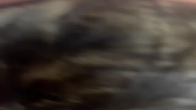 kız arkadaşı deepthroats kalın horoz - azgın pov oral seks