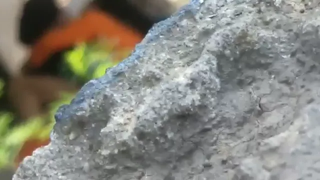 Watch Punjabi Girl Outdoor Sex Viral Hidden Cam - Hot Desi Public Fuck Part 2 full viral video leaked