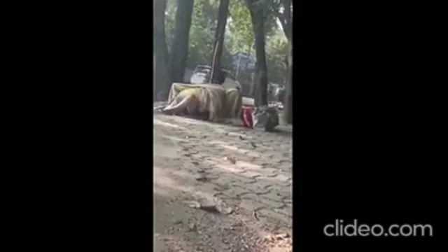Compilação de sexo ao ar livre Desi - Casais indianos selvagens transando em público