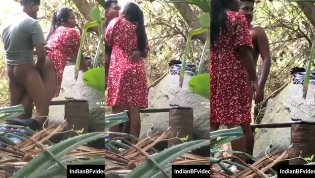 Desi GF Jungle Fuck - জঙ্গলে হট গার্লফ্রেন্ড চুদাচুদি 🔥
