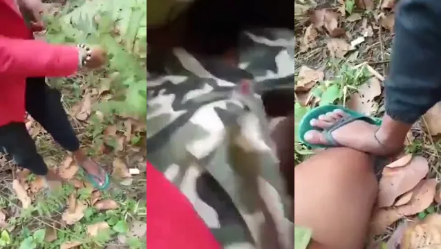 Viral Desi Girl Jungle Fuck Picnic - জঙ্গলে পিকনিক চোদাচুদি 🔥
