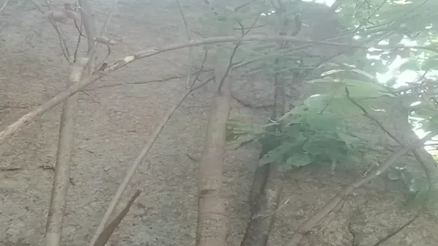 লাকি বয় গাঁয়ের কিউট গার্ল চোদছে - Desi Village Sex 🔥