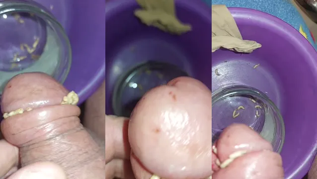 สุดขีด CBT ซาดิสม์แทรกทรมาน - แปลกประหลาด Maggots การให้อาหารเครื่องราง