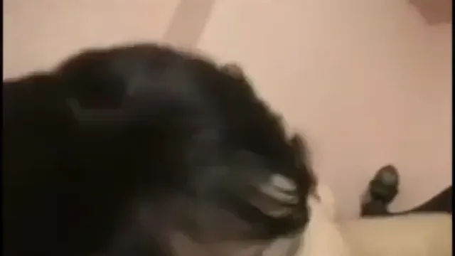 Indian Busty Girl XXX - বড় বডির মেয়ের গরম ভিডিও