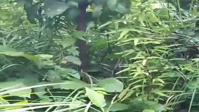 Hintli Yeni Evli Çift Köpek Stili Seks ve Sakso MMS - Düğün Gecesi Videosu Sızan