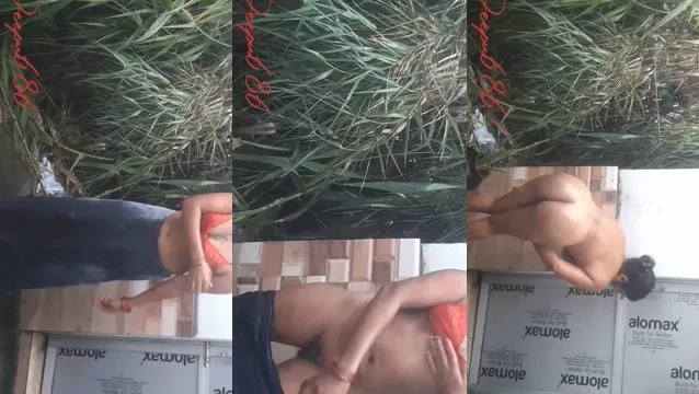Horny Bhabhi Outdoor Fucking - Viral Desi Public Sex Leaked