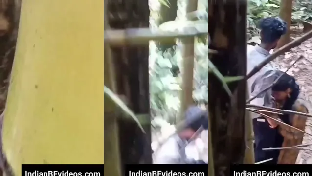 Viral Local Girl Blowjob - Wild Outdoor Sex Video
